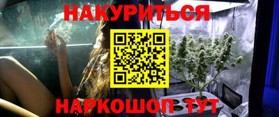 каннабис Будённовск