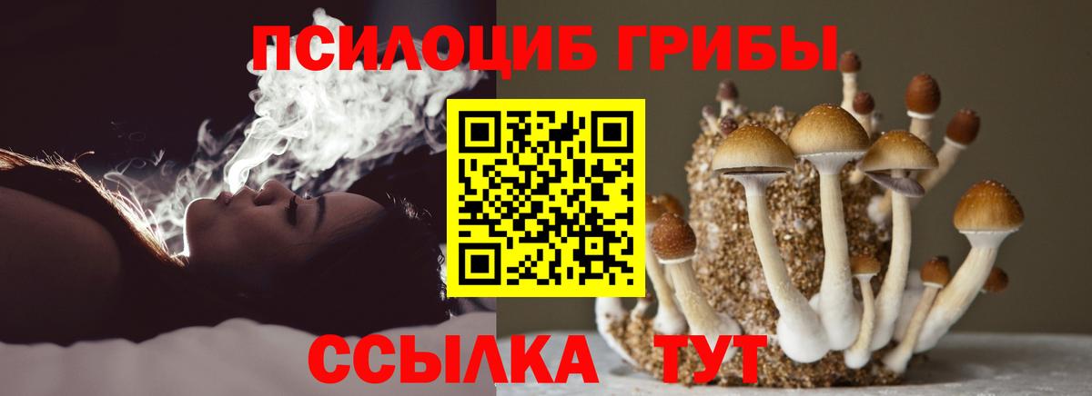 Петрозаводск  Псилоцибиновые грибы Magic Shrooms  продажа наркотиков  Вход с VPN 