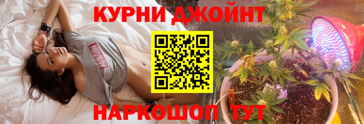 Шишки марихуана OG Kush Петрозаводск